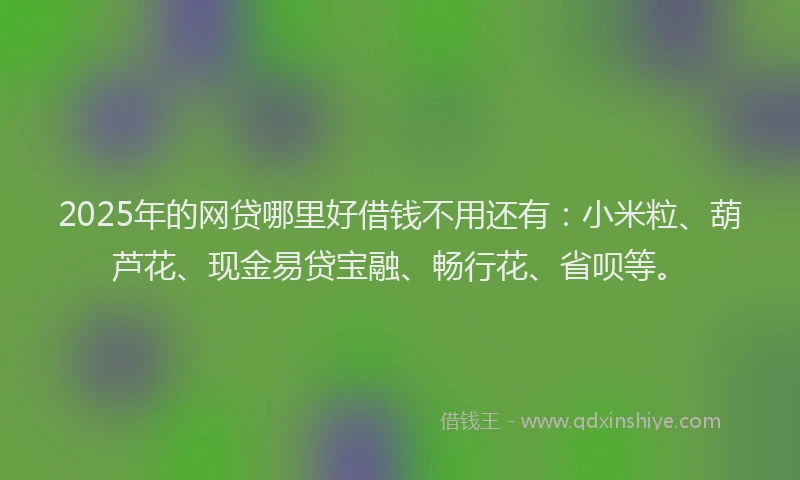 2025年的网贷哪里好借钱不用还有：小米粒、葫芦花、现金易贷宝融、畅行花、省呗等。
