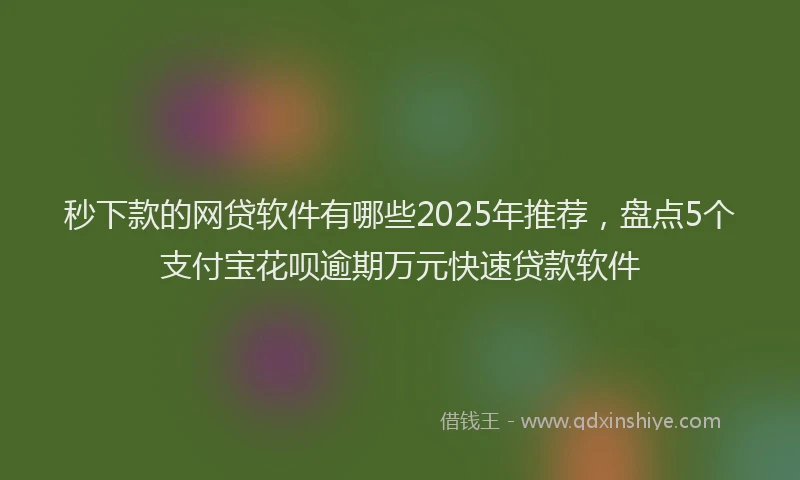 秒下款的网贷软件有哪些2025年推荐，盘点5个支付宝花呗逾期万元快速贷款软件