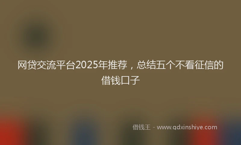 网贷交流平台2025年推荐，总结五个不看征信的借钱口子