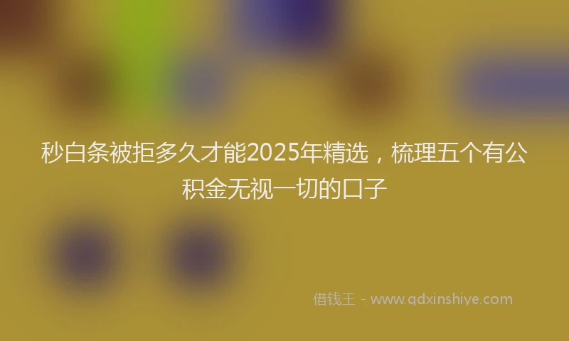 秒白条被拒多久才能2025年精选，梳理五个有公积金无视一切的口子
