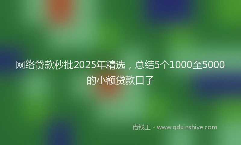 网络贷款秒批2025年精选，总结5个1000至5000的小额贷款口子