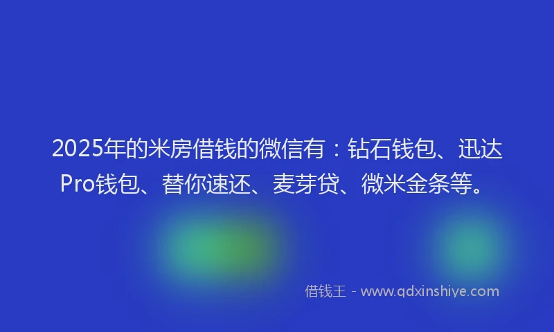 2025年的米房借钱的微信有：钻石钱包、迅达Pro钱包、替你速还、麦芽贷、微米金条等。