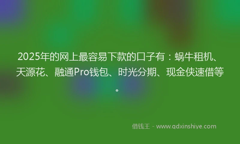 2025年的网上最容易下款的口子有：蜗牛租机、天源花、融通Pro钱包、时光分期、现金侠速借等。