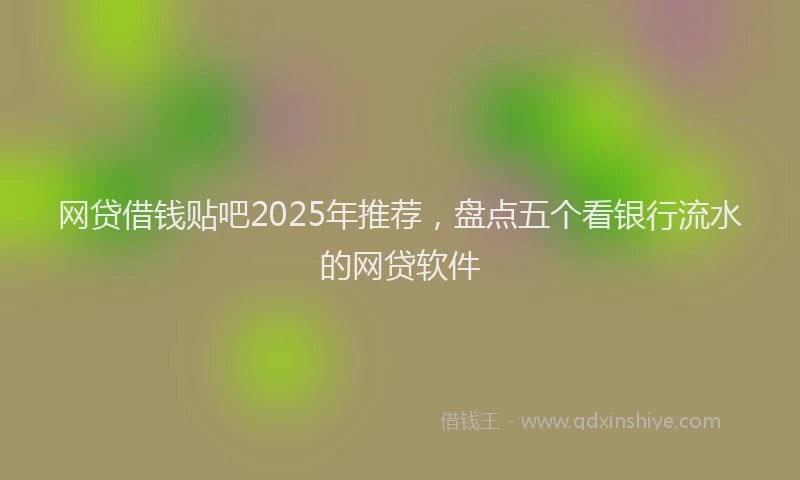 网贷借钱贴吧2025年推荐，盘点五个看银行流水的网贷软件