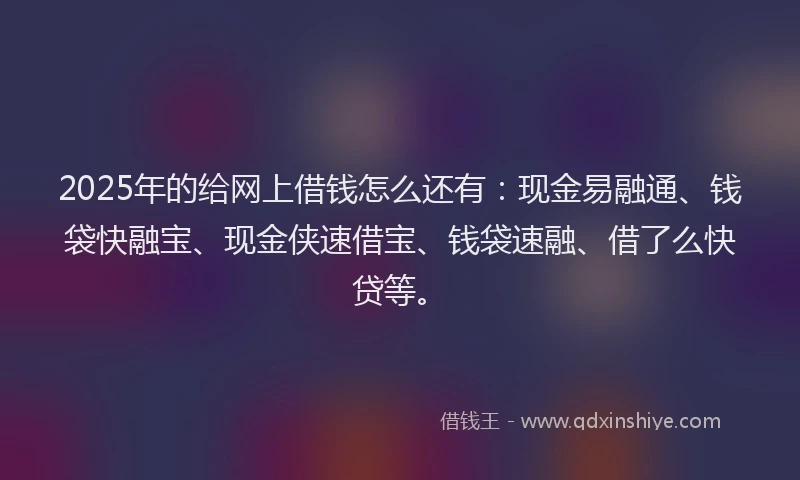 2025年的给网上借钱怎么还有：现金易融通、钱袋快融宝、现金侠速借宝、钱袋速融、借了么快贷等。