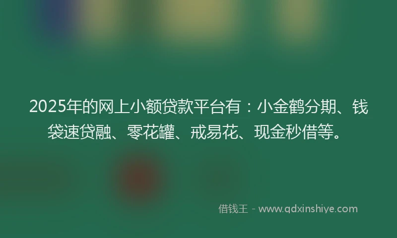 2025年的网上小额贷款平台有：小金鹤分期、钱袋速贷融、零花罐、戒易花、现金秒借等。