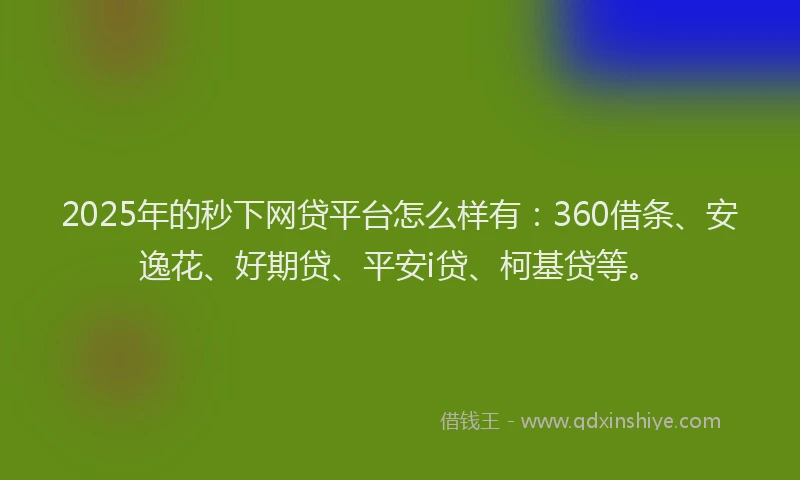 2025年的秒下网贷平台怎么样有：360借条、安逸花、好期贷、平安i贷、柯基贷等。