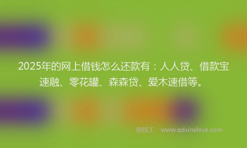 2025年的网上借钱怎么还款有：人人贷、借款宝速融、零花罐、森森贷、爱木速借等。