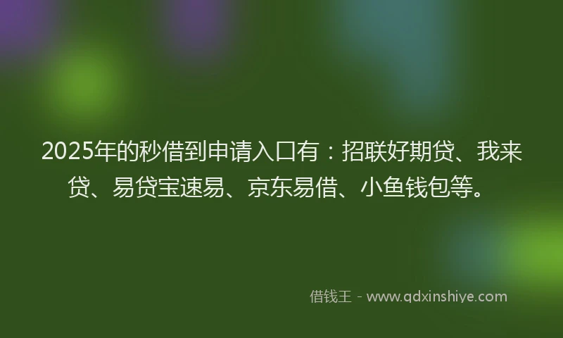 2025年的秒借到申请入口有：招联好期贷、我来贷、易贷宝速易、京东易借、小鱼钱包等。