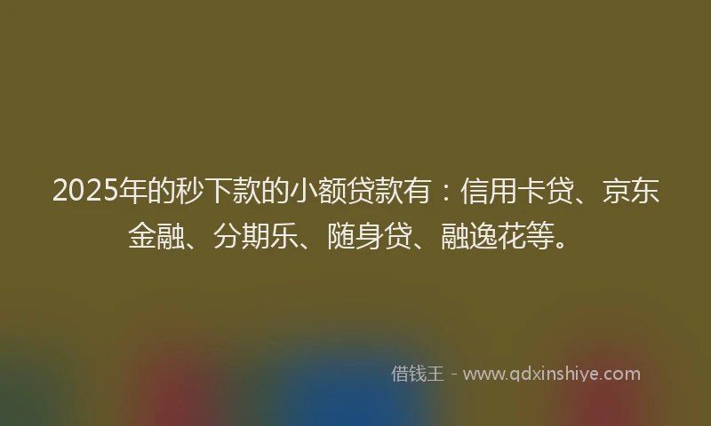 2025年的秒下款的小额贷款有：信用卡贷、京东金融、分期乐、随身贷、融逸花等。