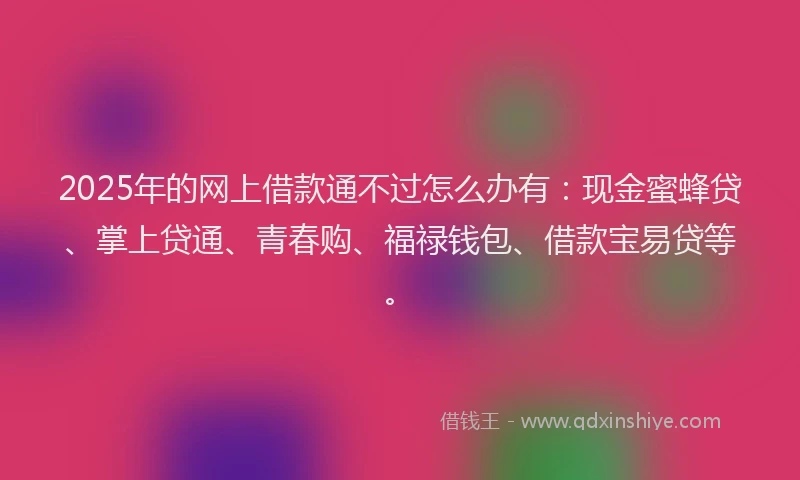 2025年的网上借款通不过怎么办有：现金蜜蜂贷、掌上贷通、青春购、福禄钱包、借款宝易贷等。