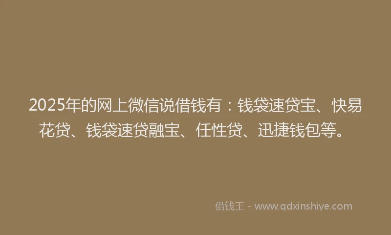 2025年的网上微信说借钱有：钱袋速贷宝、快易花贷、钱袋速贷融宝、任性贷、迅捷钱包等。