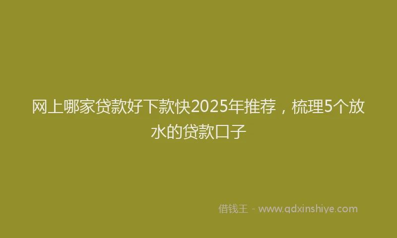 网上哪家贷款好下款快2025年推荐，梳理5个放水的贷款口子