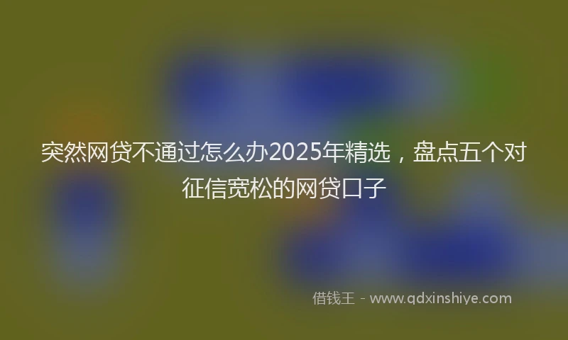 突然网贷不通过怎么办2025年精选，盘点五个对征信宽松的网贷口子