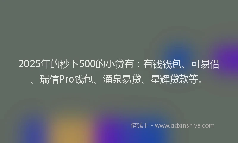2025年的秒下500的小贷有：有钱钱包、可易借、瑞信Pro钱包、涌泉易贷、星辉贷款等。