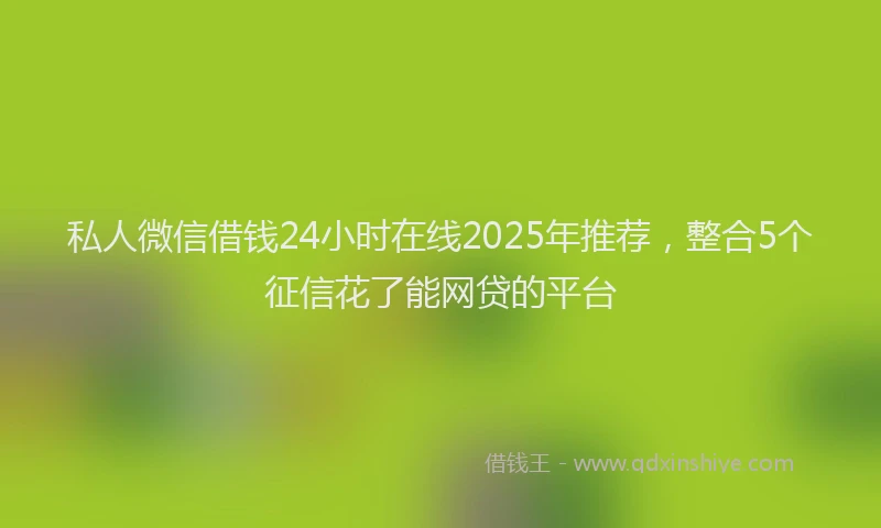 私人微信借钱24小时在线2025年推荐，整合5个征信花了能网贷的平台