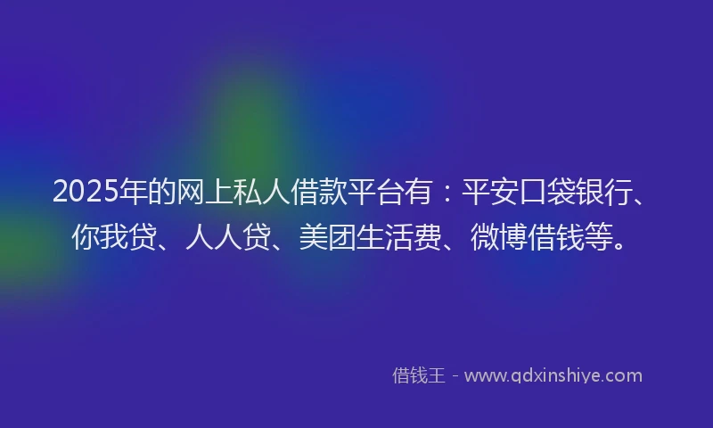 2025年的网上私人借款平台有：平安口袋银行、你我贷、人人贷、美团生活费、微博借钱等。