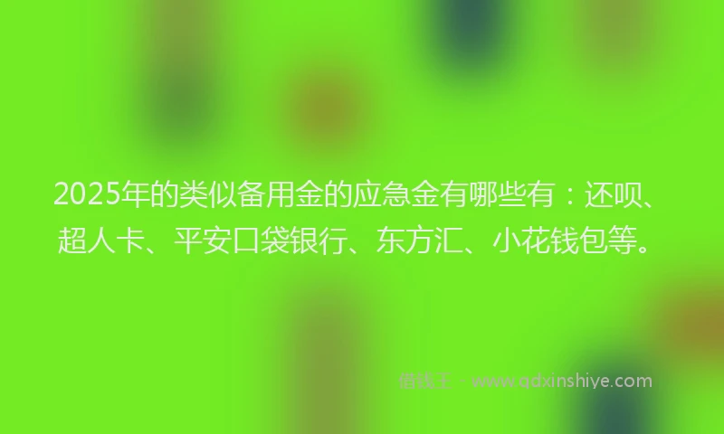 2025年的类似备用金的应急金有哪些有：还呗、超人卡、平安口袋银行、东方汇、小花钱包等。
