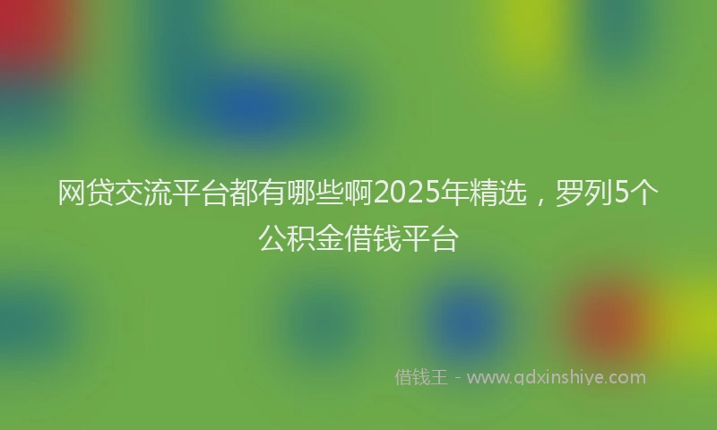 网贷交流平台都有哪些啊2025年精选，罗列5个公积金借钱平台