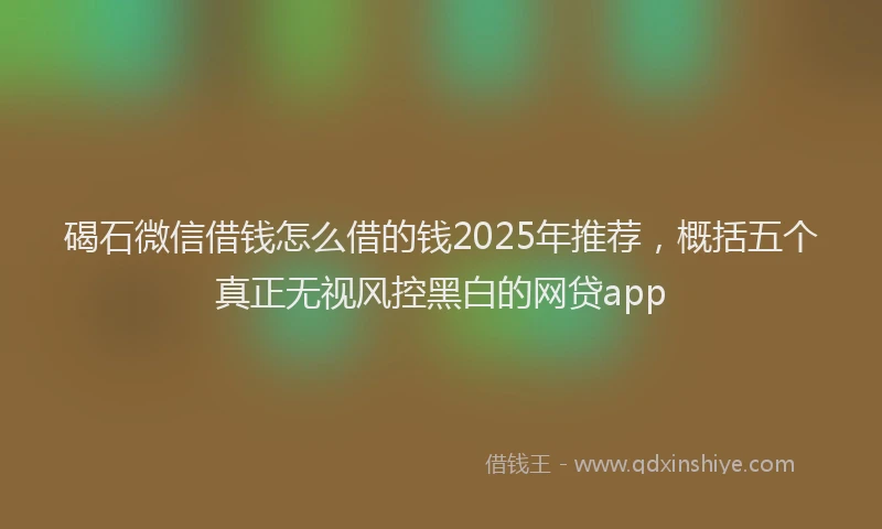 碣石微信借钱怎么借的钱2025年推荐，概括五个真正无视风控黑白的网贷app