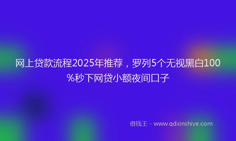 网上贷款流程2025年推荐，罗列5个无视黑白100%秒下网贷小额夜间口子