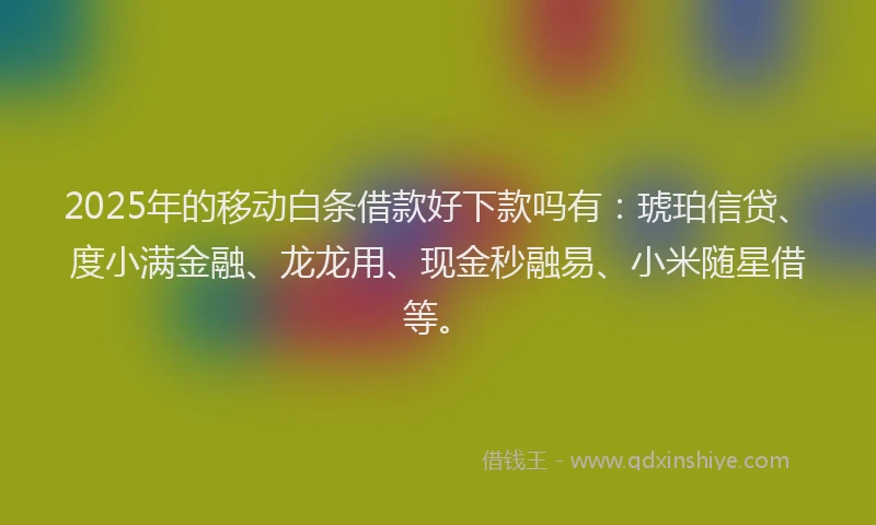 2025年的移动白条借款好下款吗有：琥珀信贷、度小满金融、龙龙用、现金秒融易、小米随星借等。