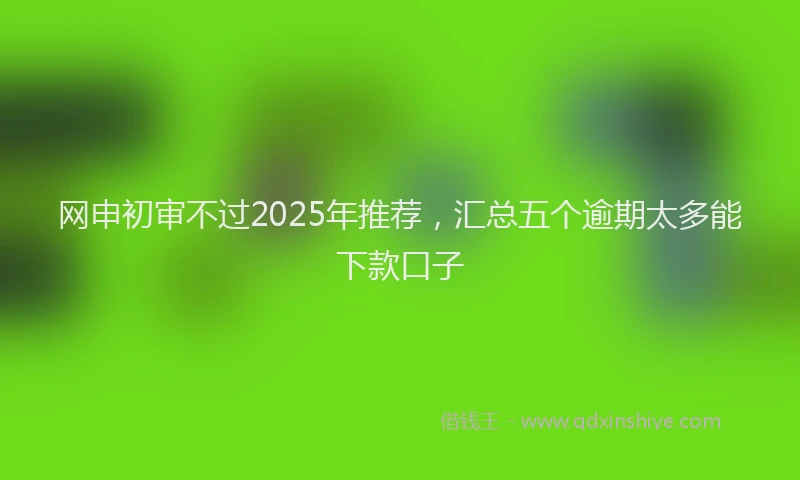 网申初审不过2025年推荐，汇总五个逾期太多能下款口子