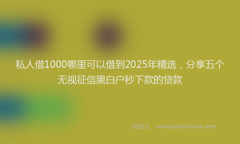 私人借1000哪里可以借到2025年精选，分享五个无视征信黑白户秒下款的贷款
