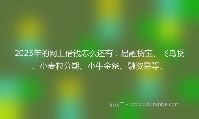2025年的网上借钱怎么还有：易融贷宝、飞鸟贷、小麦粒分期、小牛金条、融资易等。