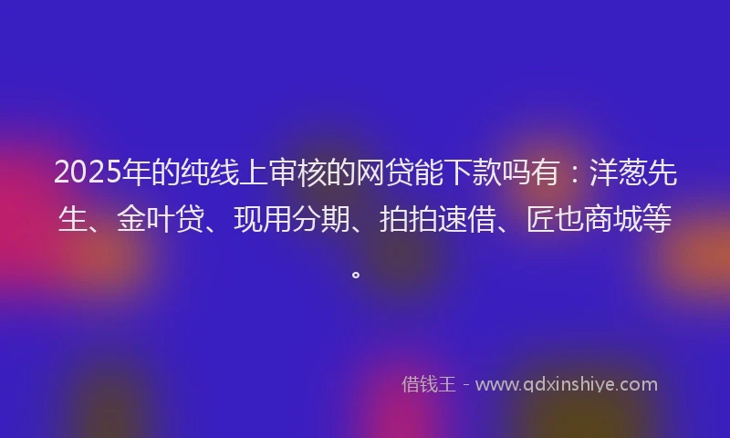 2025年的纯线上审核的网贷能下款吗有：洋葱先生、金叶贷、现用分期、拍拍速借、匠也商城等。