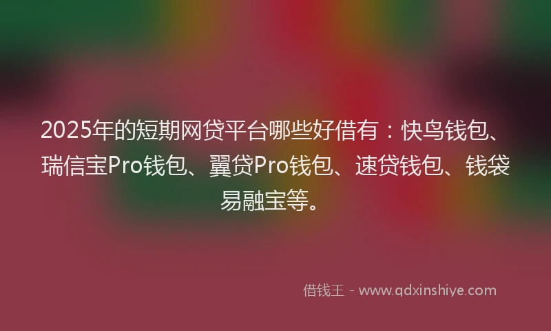 2025年的短期网贷平台哪些好借有：快鸟钱包、瑞信宝Pro钱包、翼贷Pro钱包、速贷钱包、钱袋易融宝等。