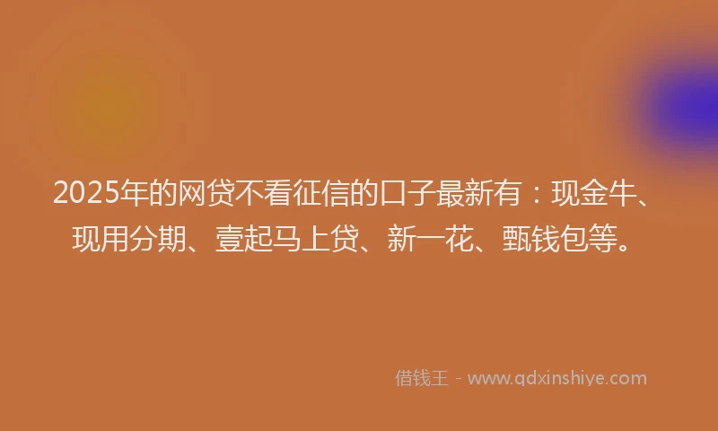 2025年的网贷不看征信的口子最新有：现金牛、现用分期、壹起马上贷、新一花、甄钱包等。