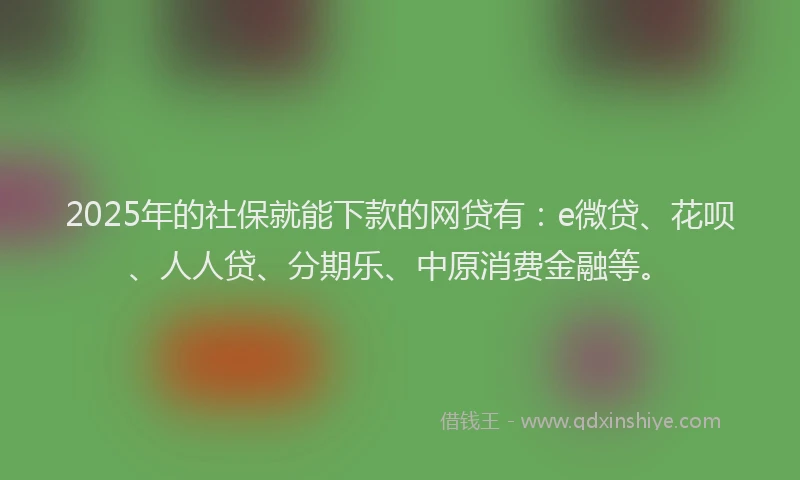 2025年的社保就能下款的网贷有：e微贷、花呗、人人贷、分期乐、中原消费金融等。