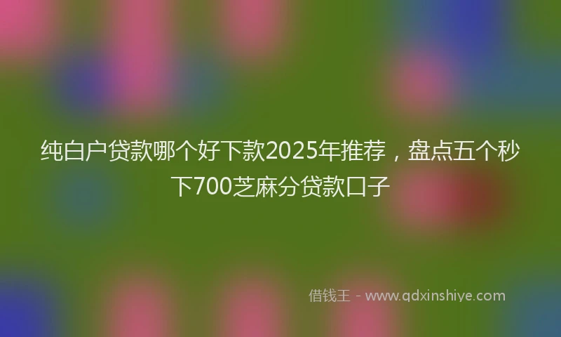 纯白户贷款哪个好下款2025年推荐，盘点五个秒下700芝麻分贷款口子