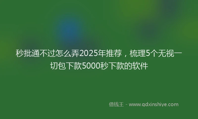 秒批通不过怎么弄2025年推荐，梳理5个无视一切包下款5000秒下款的软件