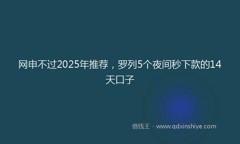 网申不过2025年推荐，罗列5个夜间秒下款的14天口子