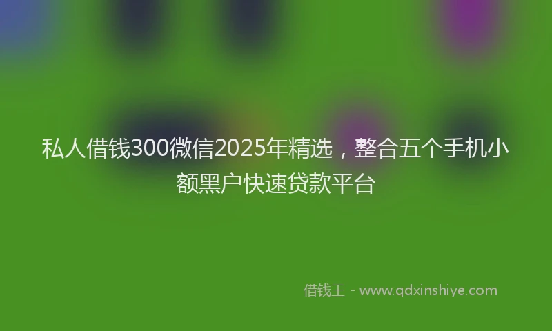 私人借钱300微信2025年精选，整合五个手机小额黑户快速贷款平台