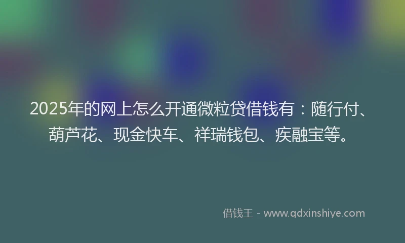 2025年的网上怎么开通微粒贷借钱有：随行付、葫芦花、现金快车、祥瑞钱包、疾融宝等。