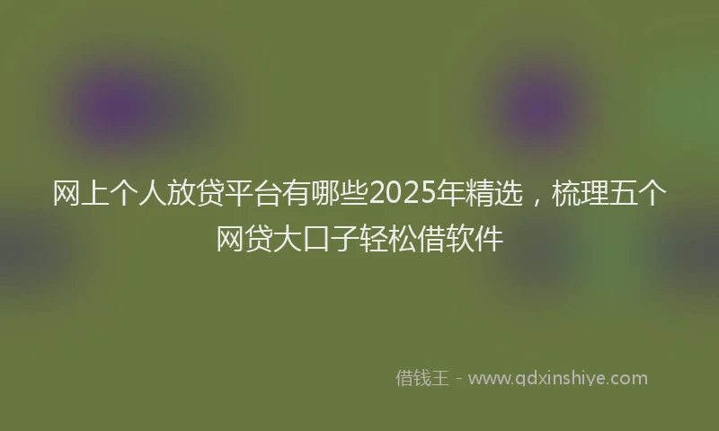 网上个人放贷平台有哪些2025年精选，梳理五个网贷大口子轻松借软件