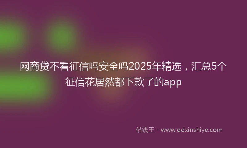 网商贷不看征信吗安全吗2025年精选，汇总5个征信花居然都下款了的app