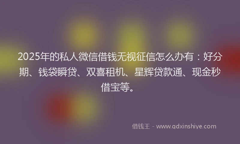 2025年的私人微信借钱无视征信怎么办有：好分期、钱袋瞬贷、双喜租机、星辉贷款通、现金秒借宝等。