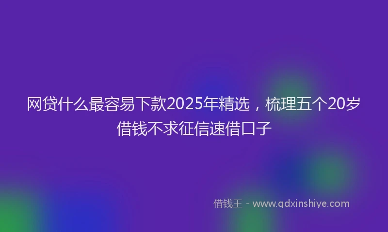 网贷什么最容易下款2025年精选，梳理五个20岁借钱不求征信速借口子