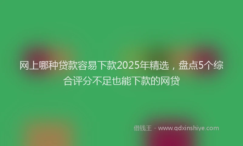 网上哪种贷款容易下款2025年精选，盘点5个综合评分不足也能下款的网贷