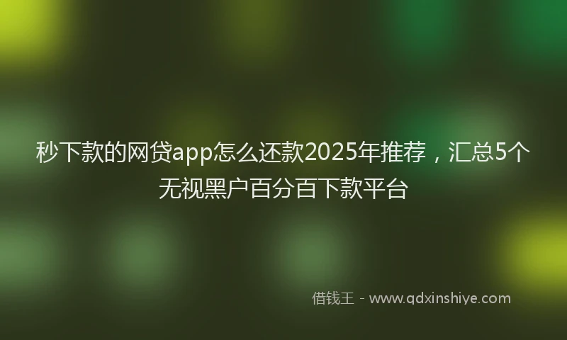 秒下款的网贷app怎么还款2025年推荐，汇总5个无视黑户百分百下款平台