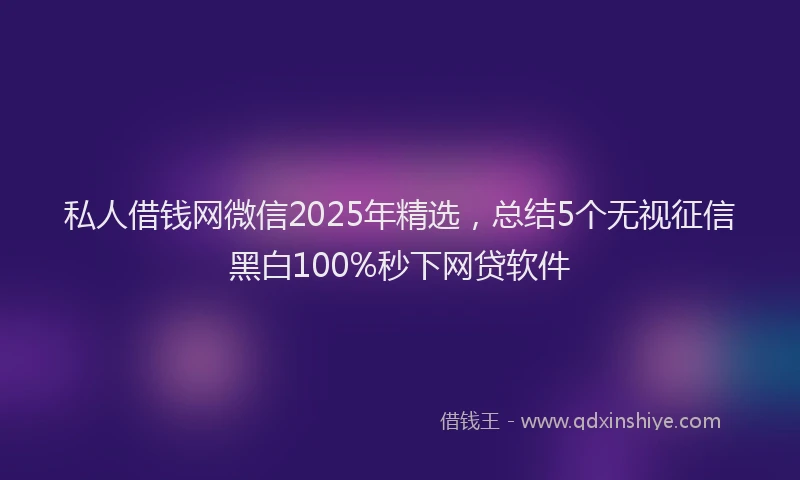 私人借钱网微信2025年精选，总结5个无视征信黑白100%秒下网贷软件