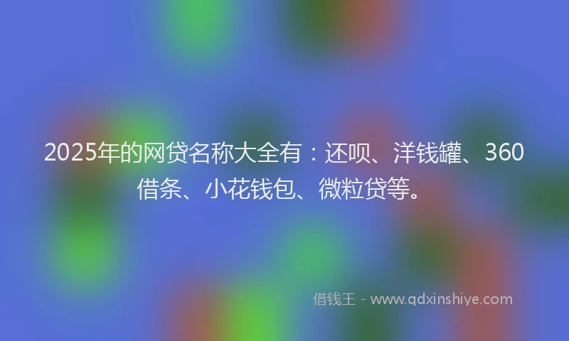 2025年的网贷名称大全有：还呗、洋钱罐、360借条、小花钱包、微粒贷等。