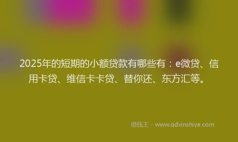 2025年的短期的小额贷款有哪些有：e微贷、信用卡贷、维信卡卡贷、替你还、东方汇等。