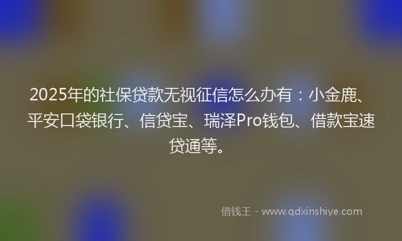 2025年的社保贷款无视征信怎么办有：小金鹿、平安口袋银行、信贷宝、瑞泽Pro钱包、借款宝速贷通等。