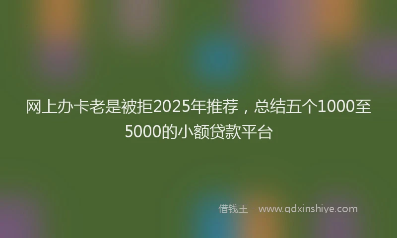网上办卡老是被拒2025年推荐，总结五个1000至5000的小额贷款平台