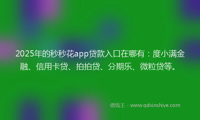 2025年的秒秒花app贷款入口在哪有：度小满金融、信用卡贷、拍拍贷、分期乐、微粒贷等。